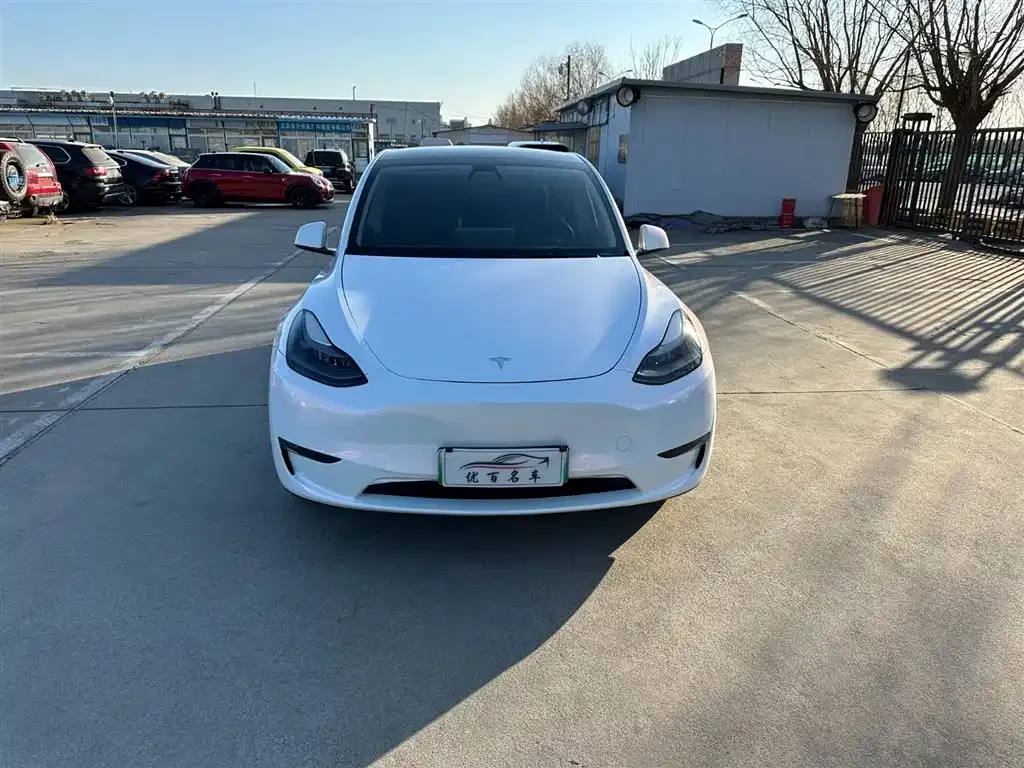 Tesla Model Y — фото 5