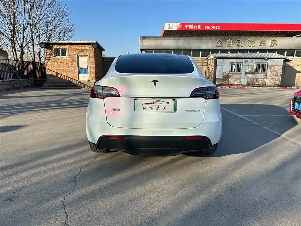 Tesla Model Y — фото 3