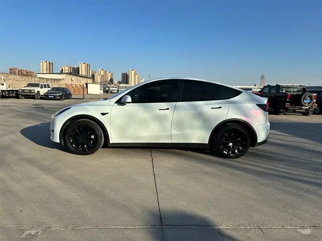 Tesla Model Y — фото 6