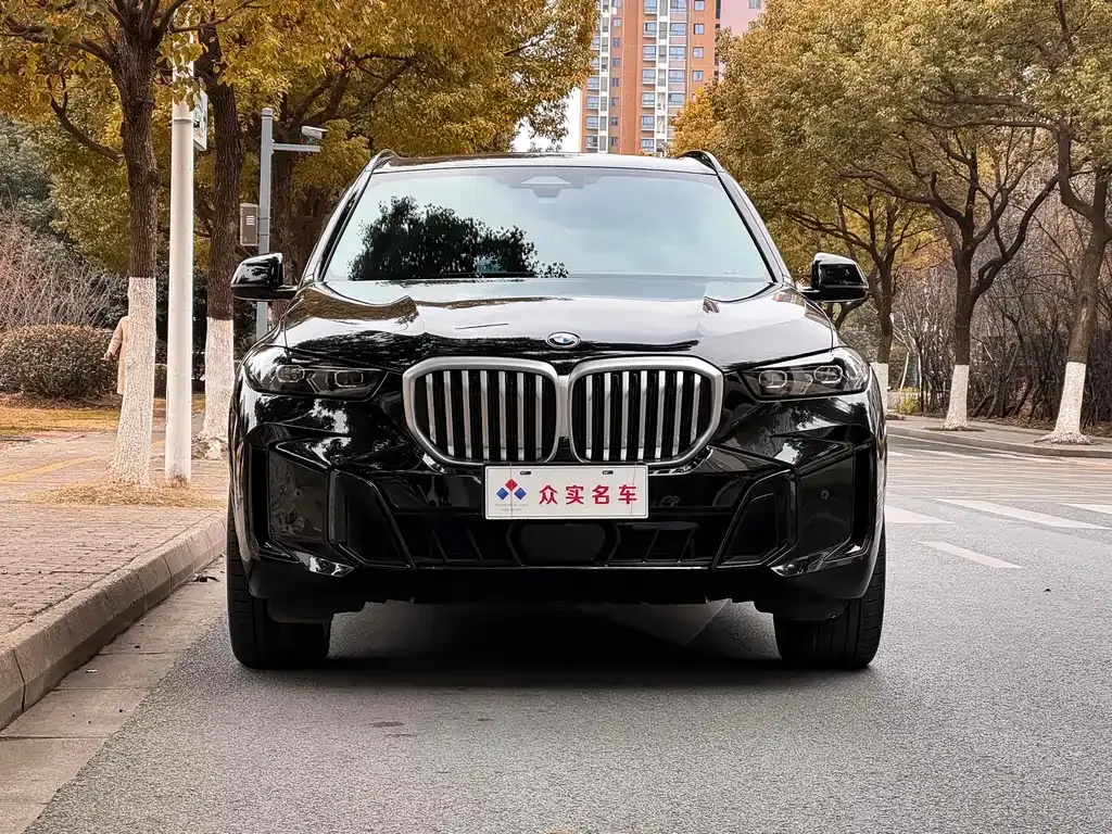 BMW X5 2025 из CN, фото 4