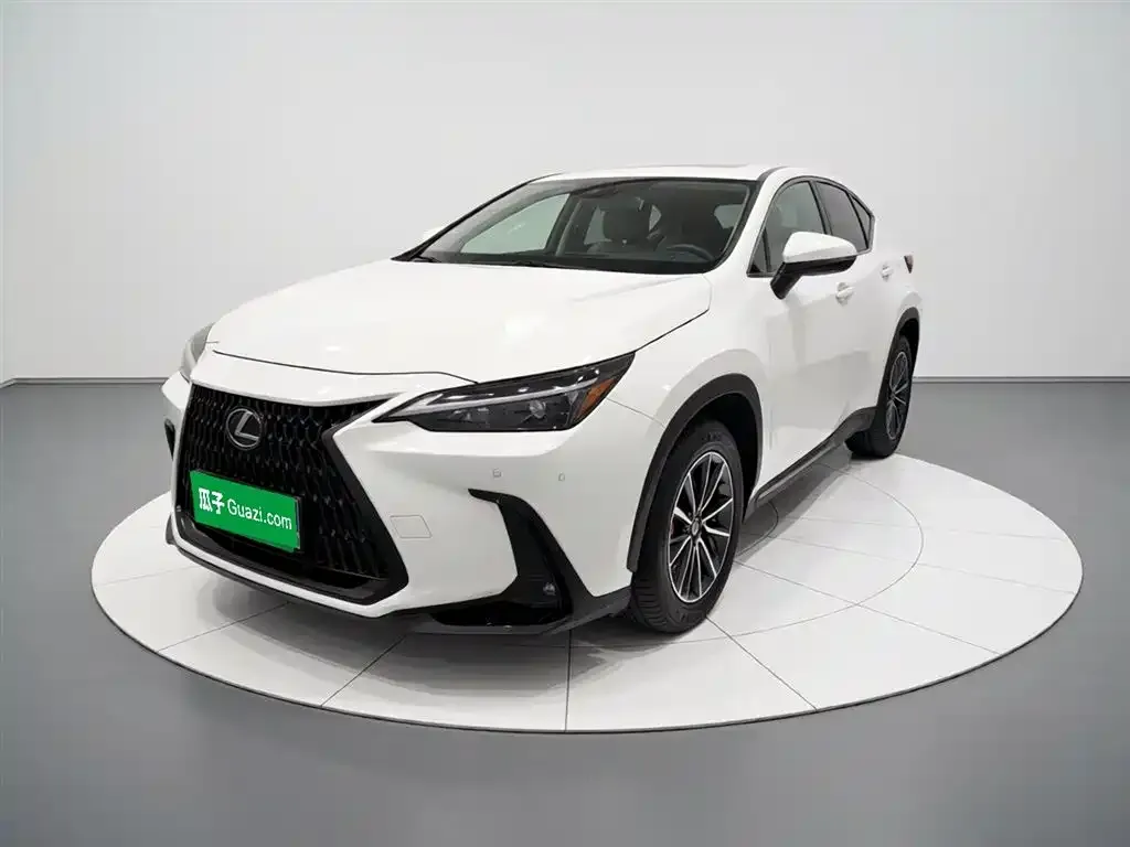 Lexus NX — фото 6