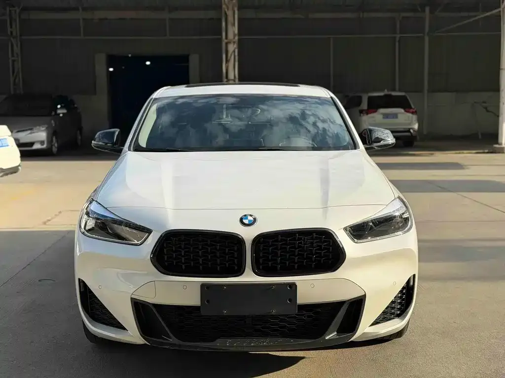 BMW X2 2023 из CN, фото 6