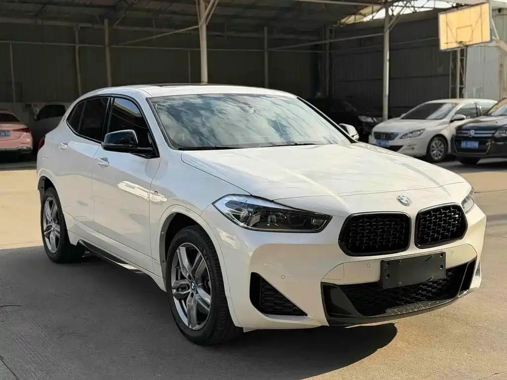 BMW X2 2023 из CN, фото 2