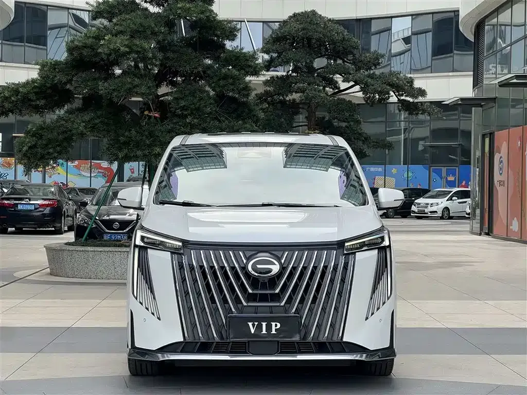 GAC Motor Trumpchi M8 2025 из CN, фото 9