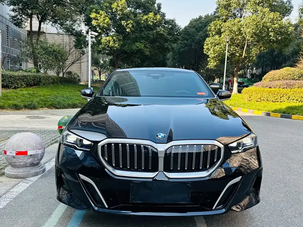 BMW 5 Series 2024 из CN, фото 5