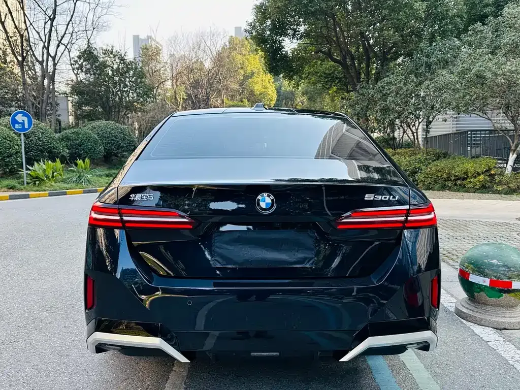 BMW 5 Series 2024 из CN, фото 8