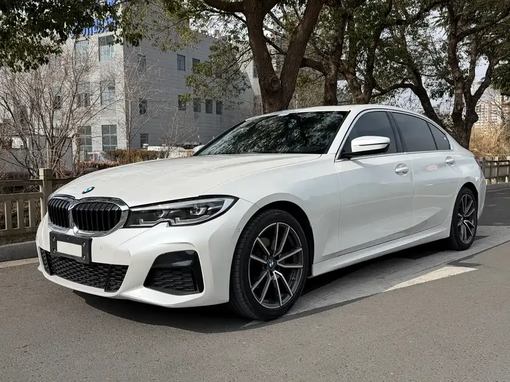 BMW 3 Series 2021 из CN, фото 1
