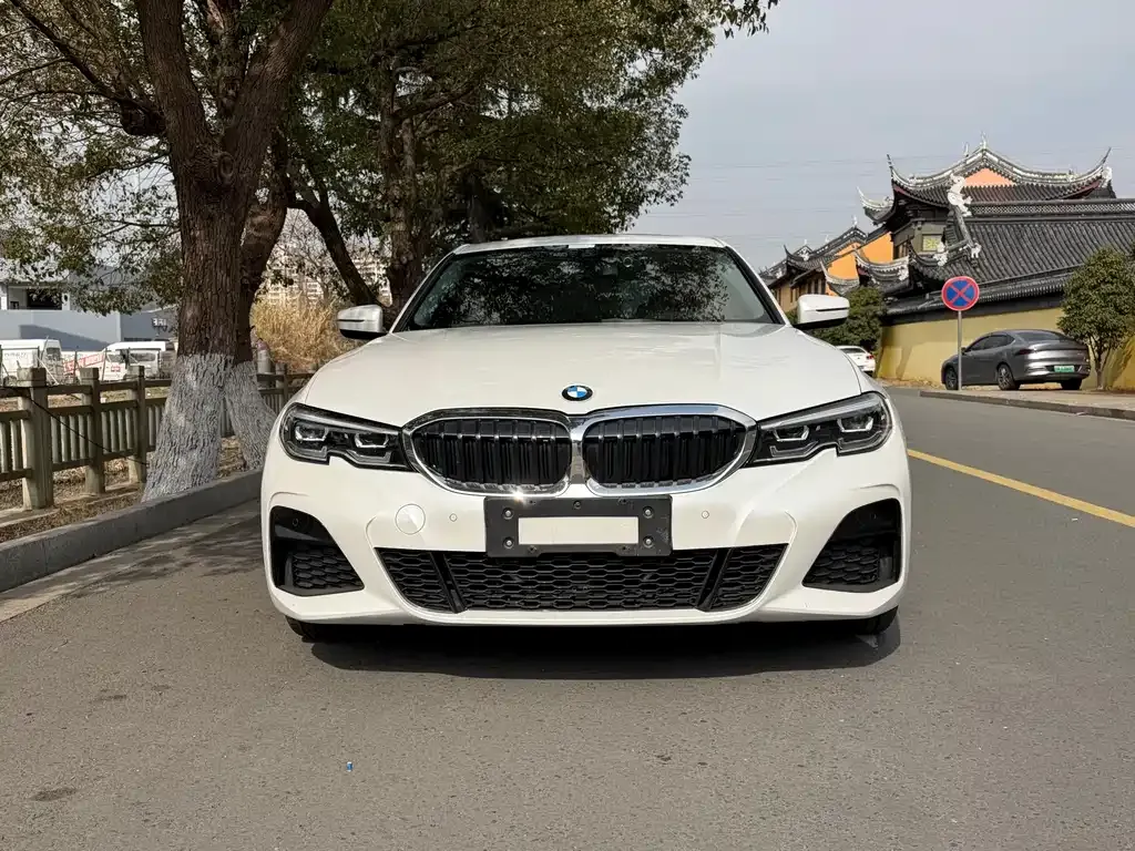 BMW 3 Series 2021 из CN, фото 7