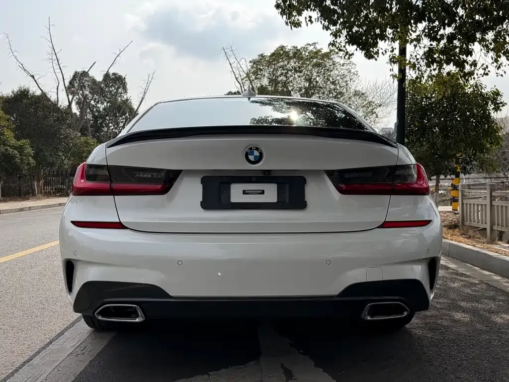 BMW 3 Series 2021 из CN, фото 6