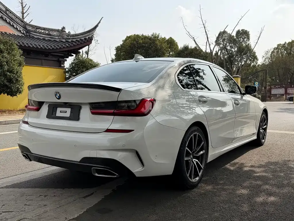 BMW 3 Series 2021 из CN, фото 9