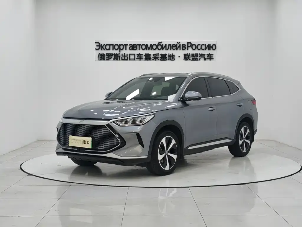 BYD PLUS New Energy 2023 из CN, фото 1