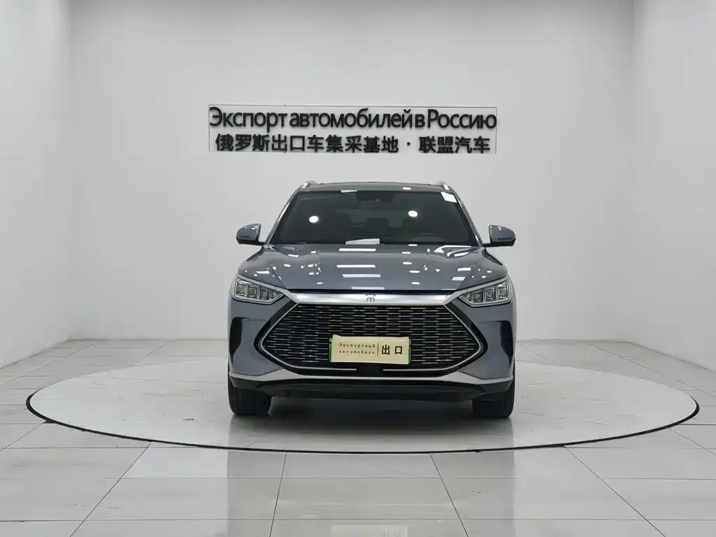 BYD PLUS New Energy 2023 из CN, фото 3