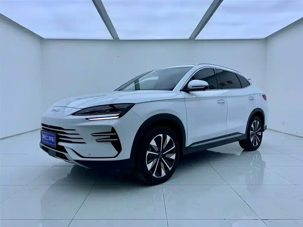 BYD PLUS New Energy — фото 1