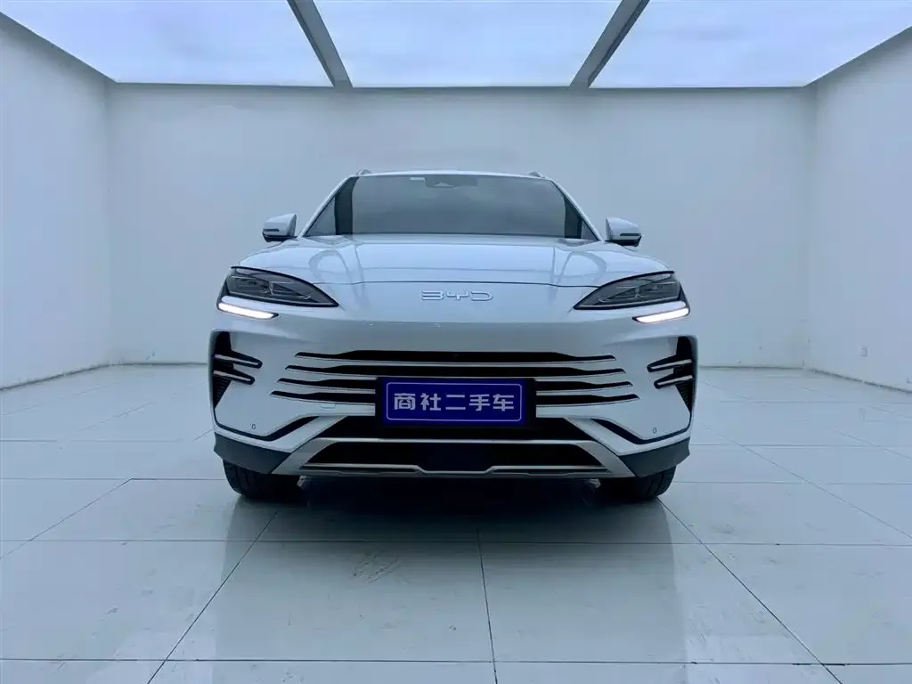 BYD PLUS New Energy — фото 2