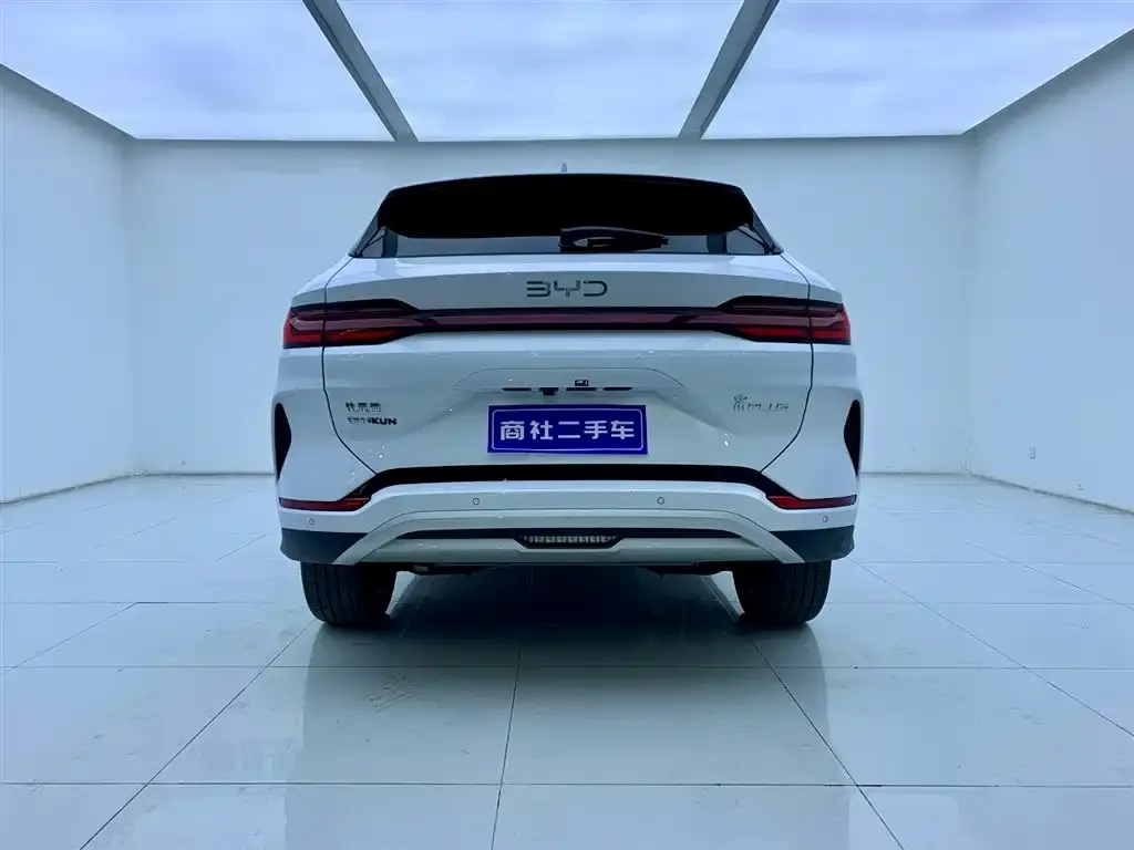 BYD PLUS New Energy — фото 6