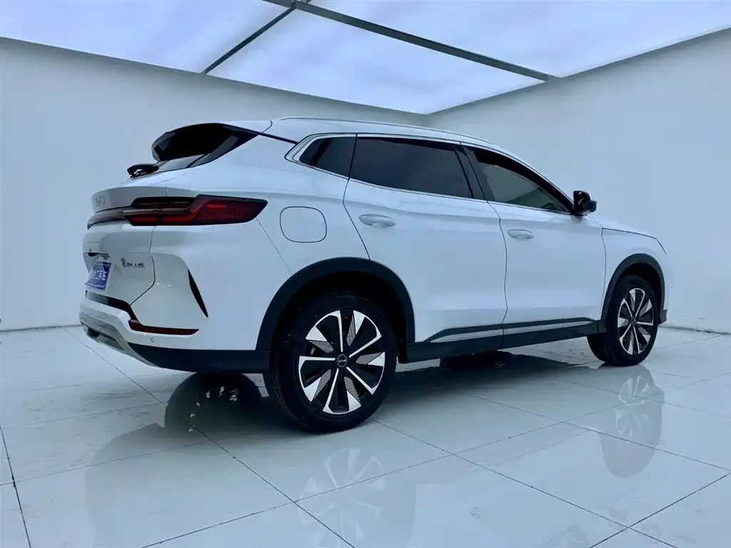 BYD PLUS New Energy — фото 7