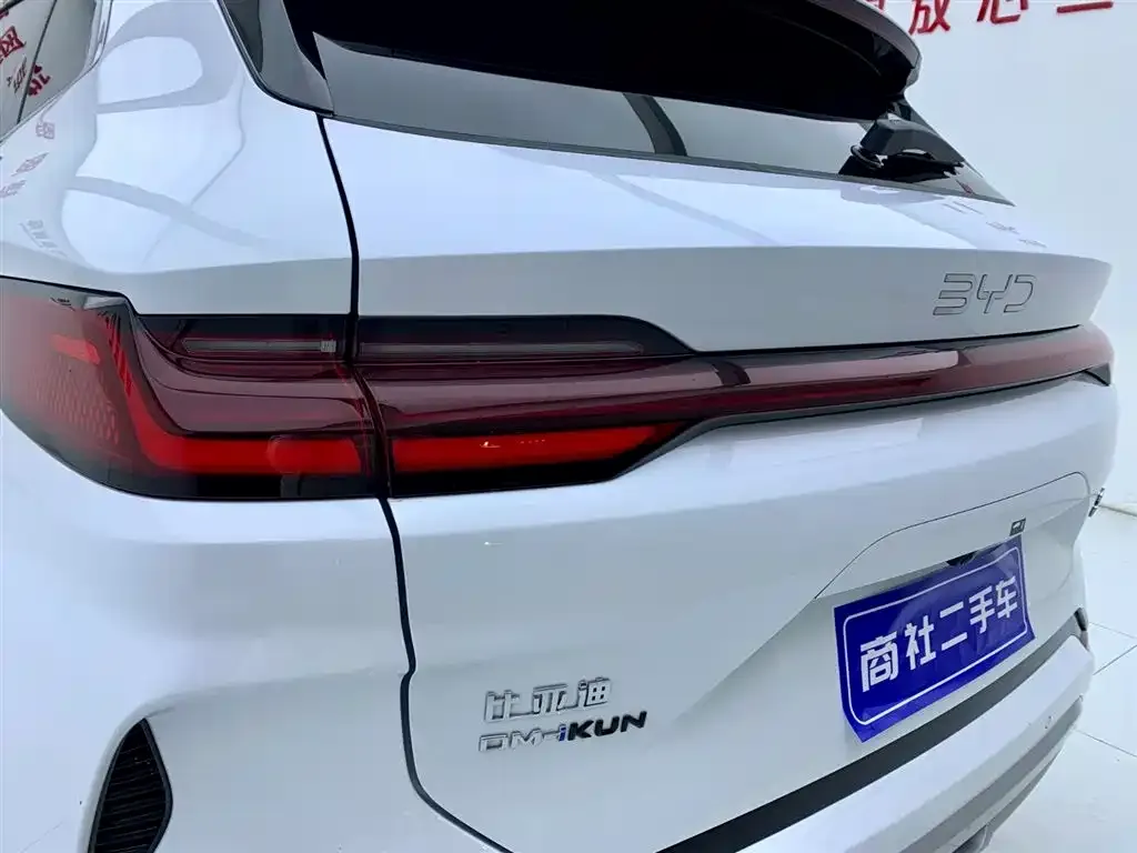 BYD PLUS New Energy — фото 4