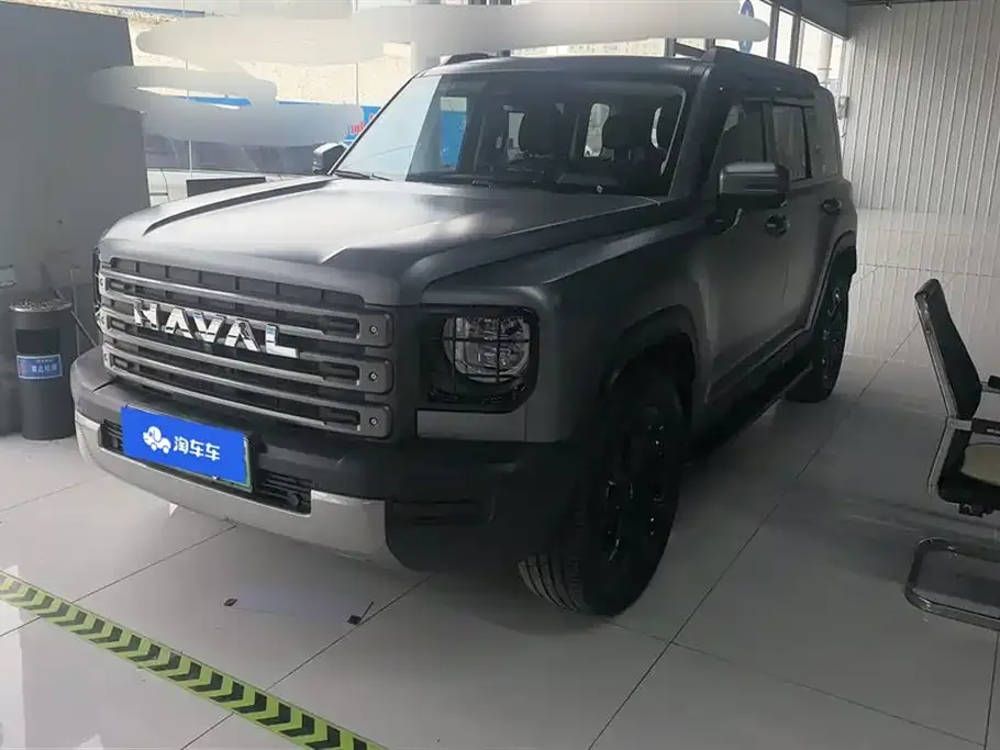 Haval Menglong New Energy 2025 из CN, фото 1