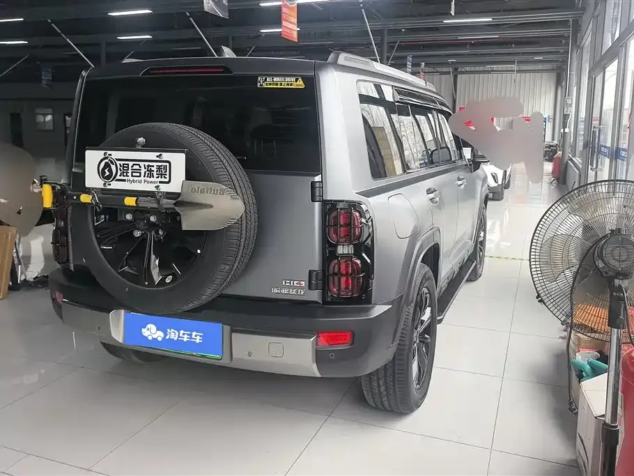 Haval Menglong New Energy 2025 из CN, фото 6