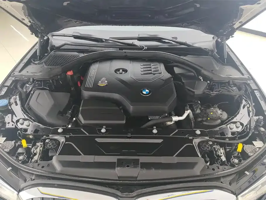 BMW 3 Series 2021 из CN, фото 10