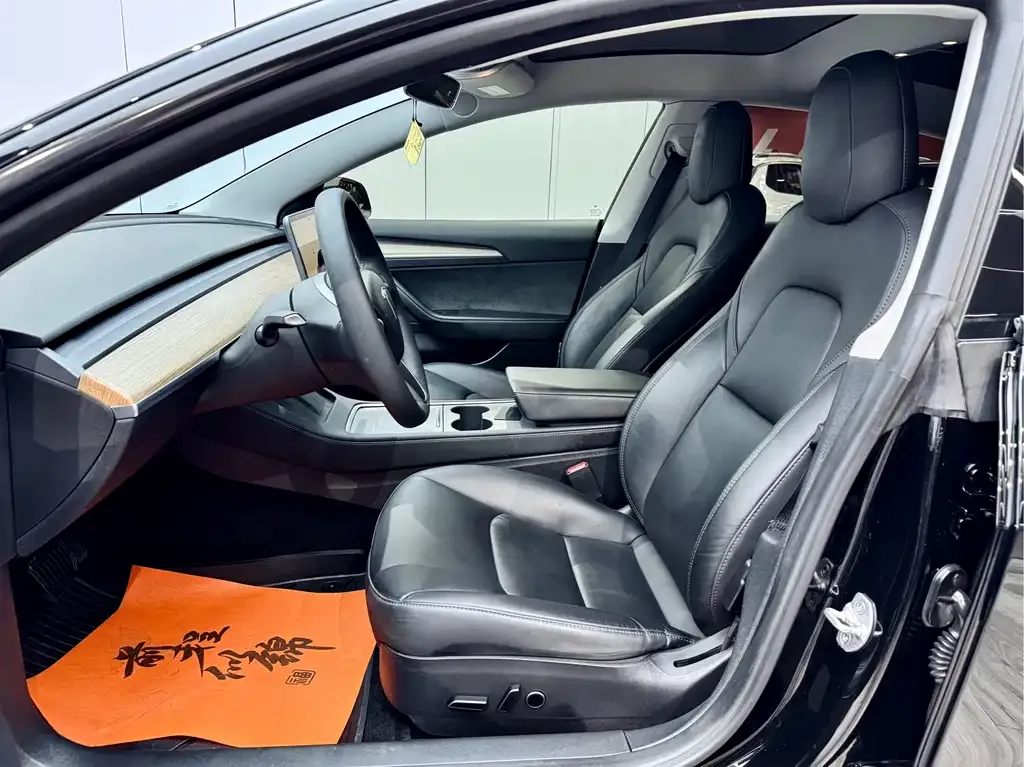 Tesla Model 3 2023 из CN, фото 9