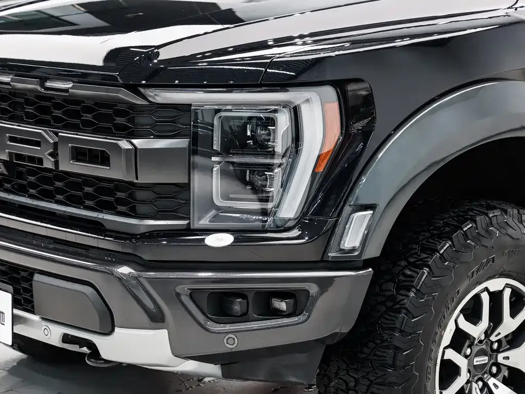 Ford F-150 Raptor 2023 из CN, фото 9