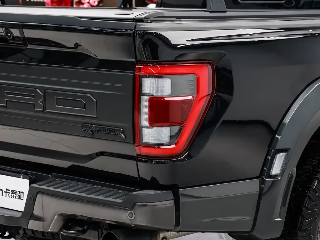 Ford F-150 Raptor 2023 из CN, фото 10