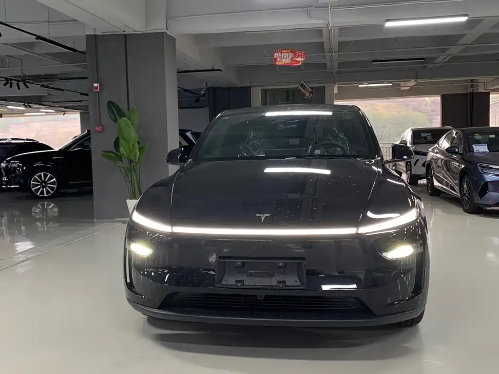 Tesla Model Y — фото 10