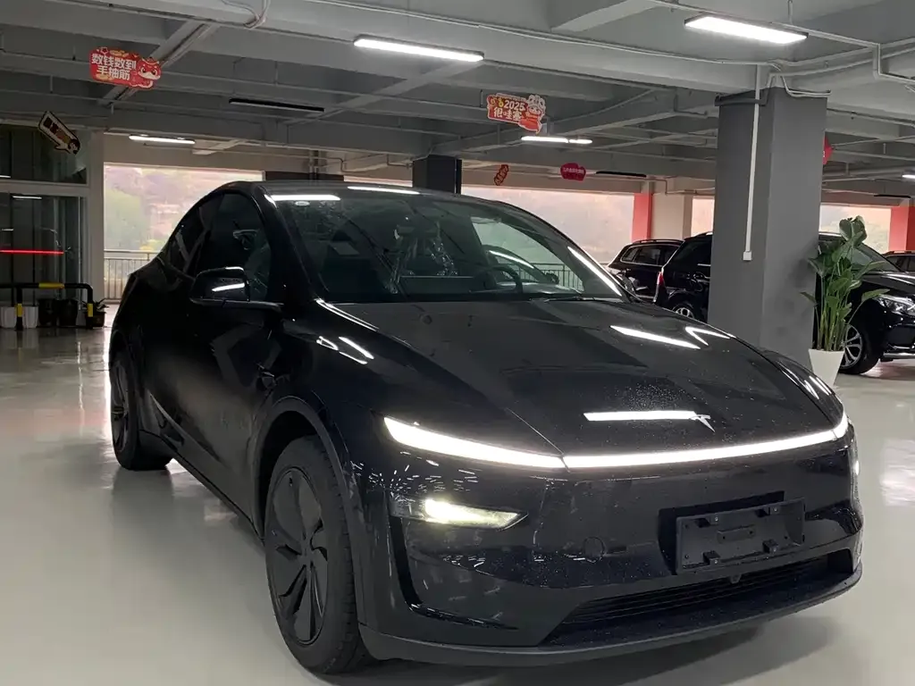 Tesla Model Y — фото 9