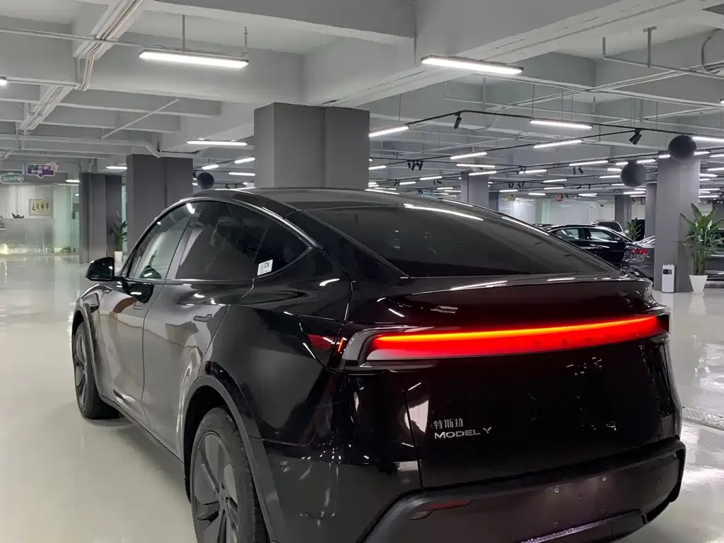 Tesla Model Y — фото 8