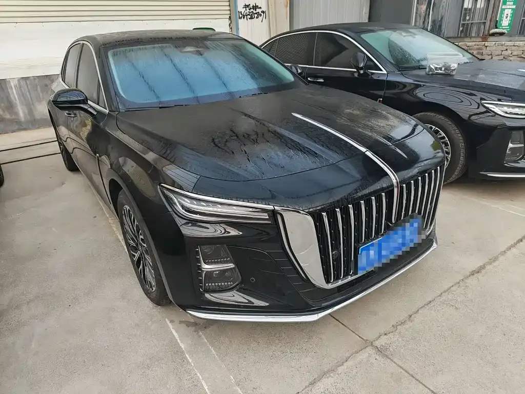 Hongqi H5 2024 из CN, фото 9