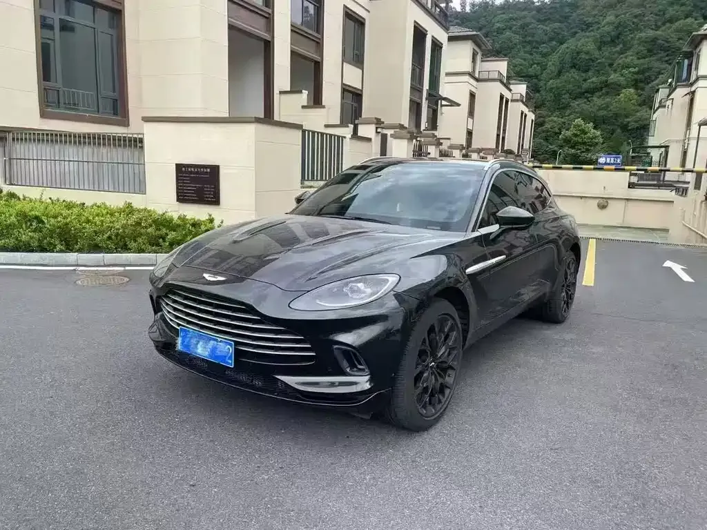 Aston Martin DBX 2022 из CN, фото 1