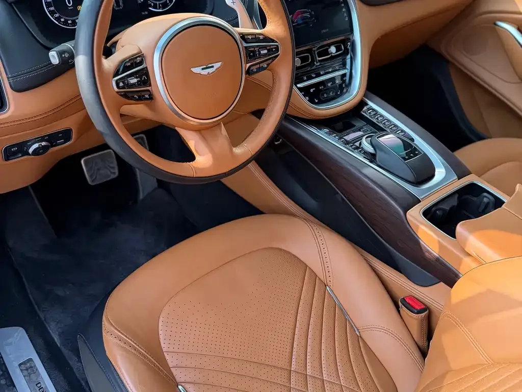 Aston Martin DBX 2022 из CN, фото 6