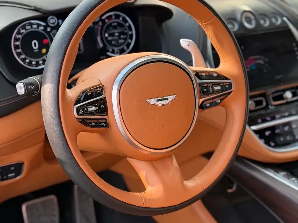 Aston Martin DBX 2022 из CN, фото 7