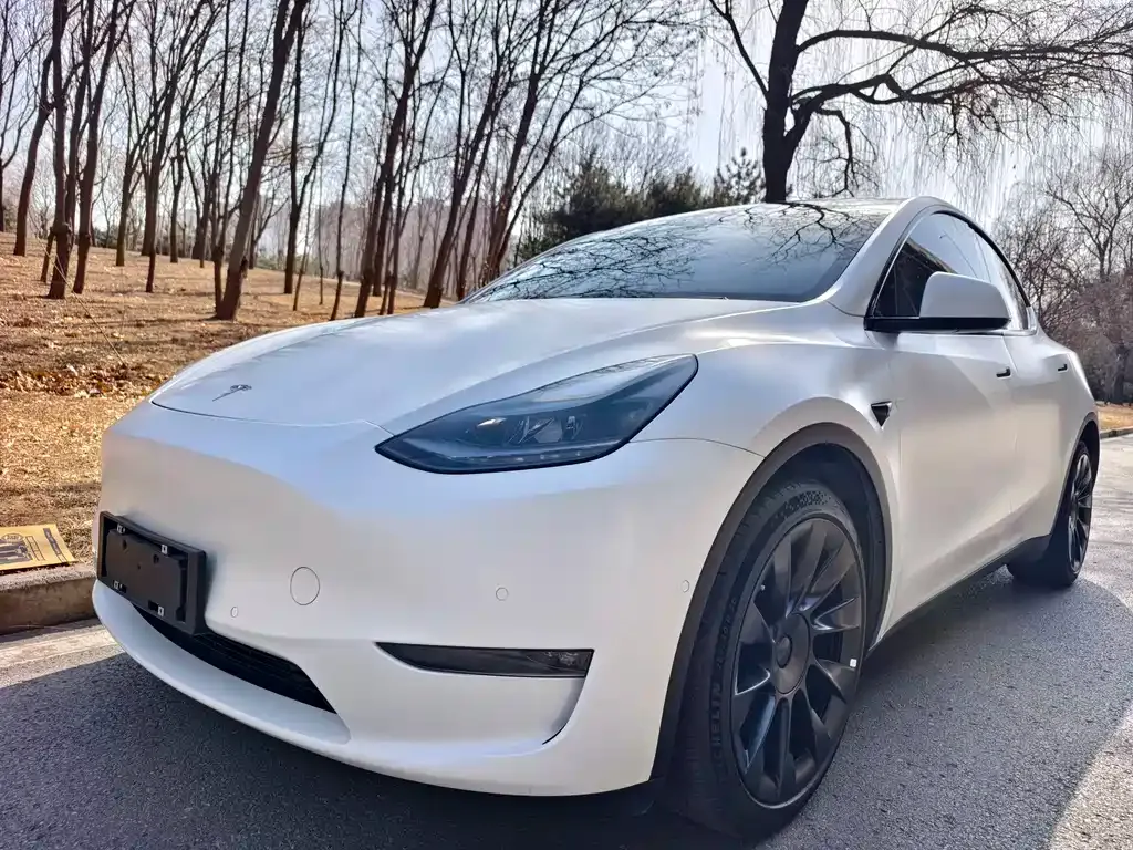 Tesla Model Y — фото 1