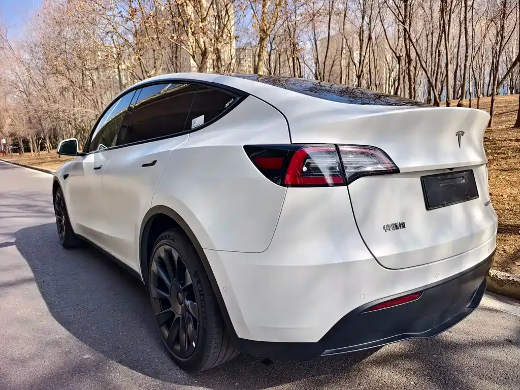 Tesla Model Y — фото 5