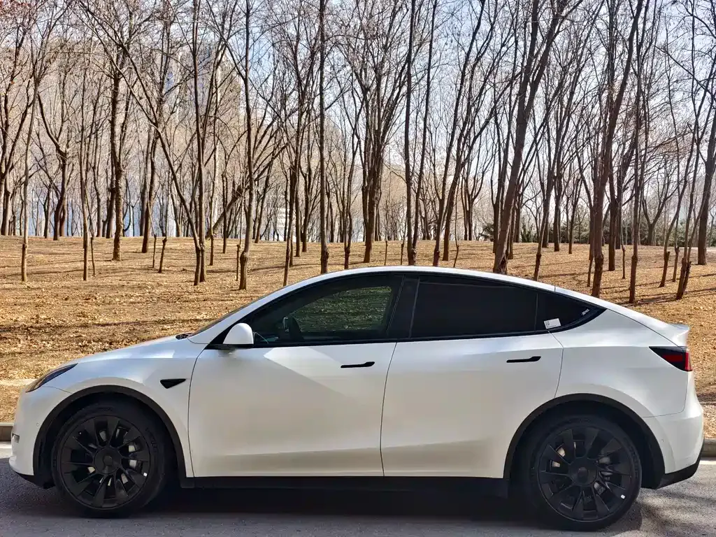 Tesla Model Y — фото 10