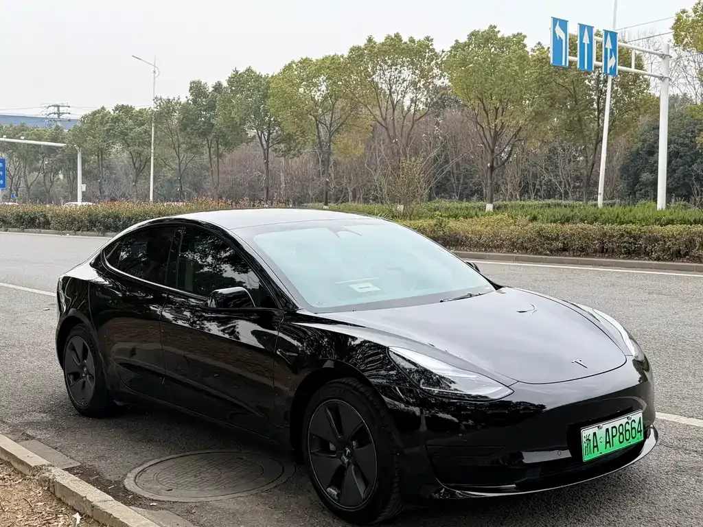 Tesla Model 3 — фото 4