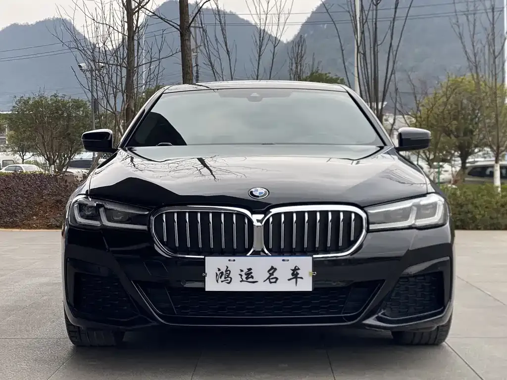BMW 5 Series (Import) 2022 из CN, фото 2