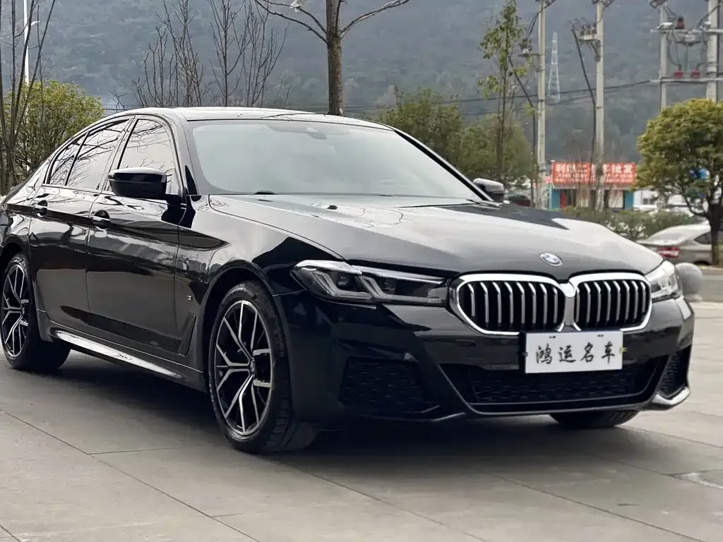 BMW 5 Series (Import) 2022 из CN, фото 6