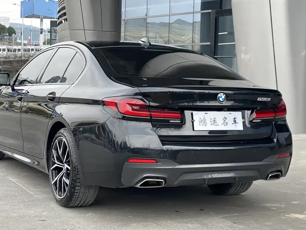 BMW 5 Series (Import) 2022 из CN, фото 7