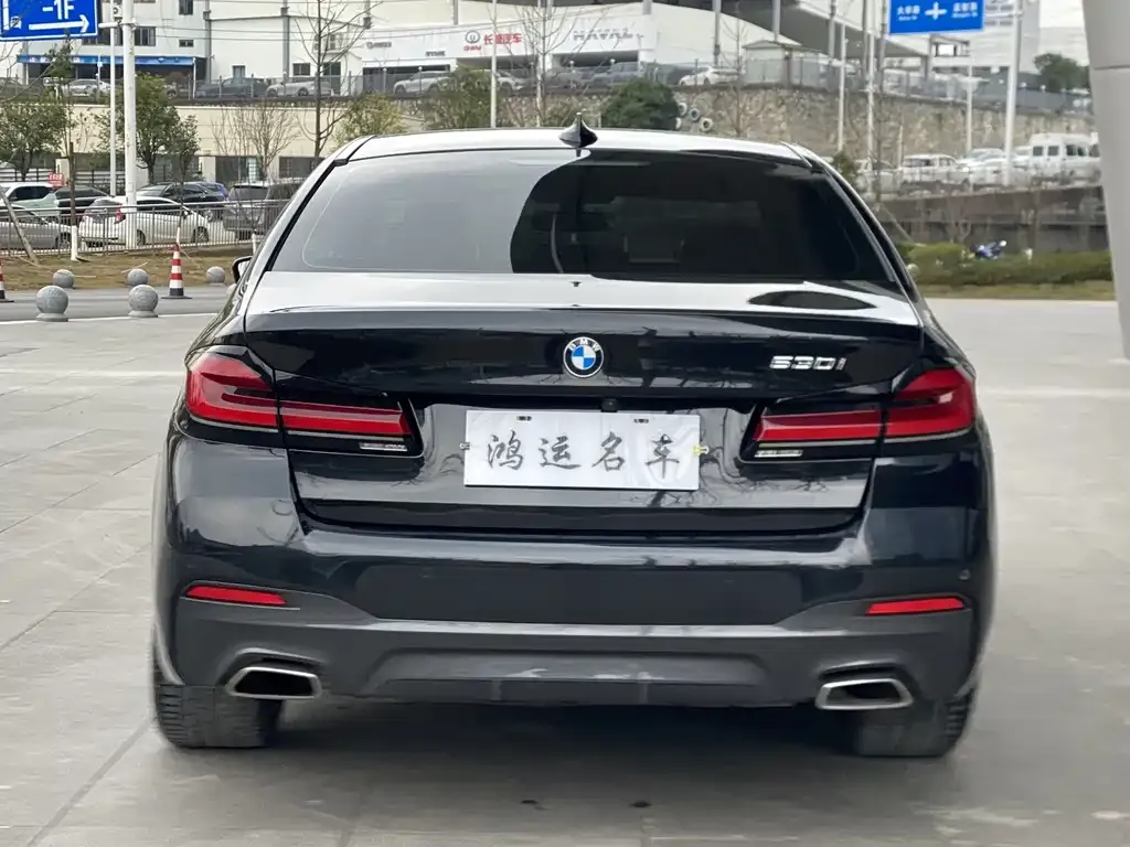 BMW 5 Series (Import) 2022 из CN, фото 4