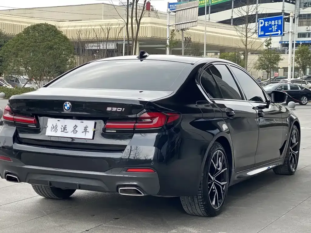 BMW 5 Series (Import) 2022 из CN, фото 9