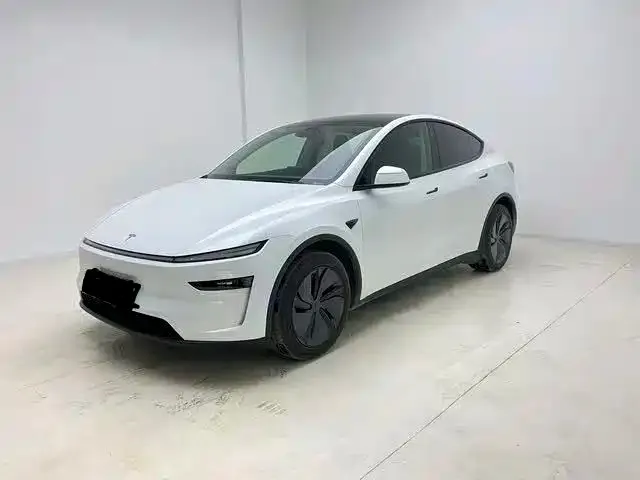 Tesla Model Y 2025 из CN, фото 1