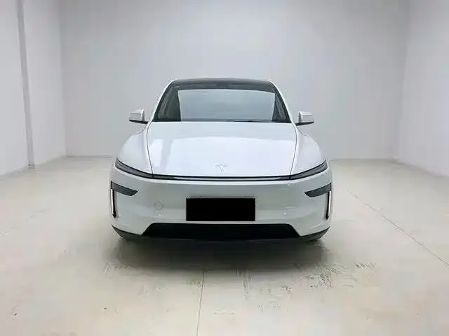 Tesla Model Y 2025 из CN, фото 2