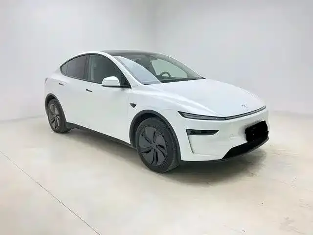 Tesla Model Y 2025 из CN, фото 3