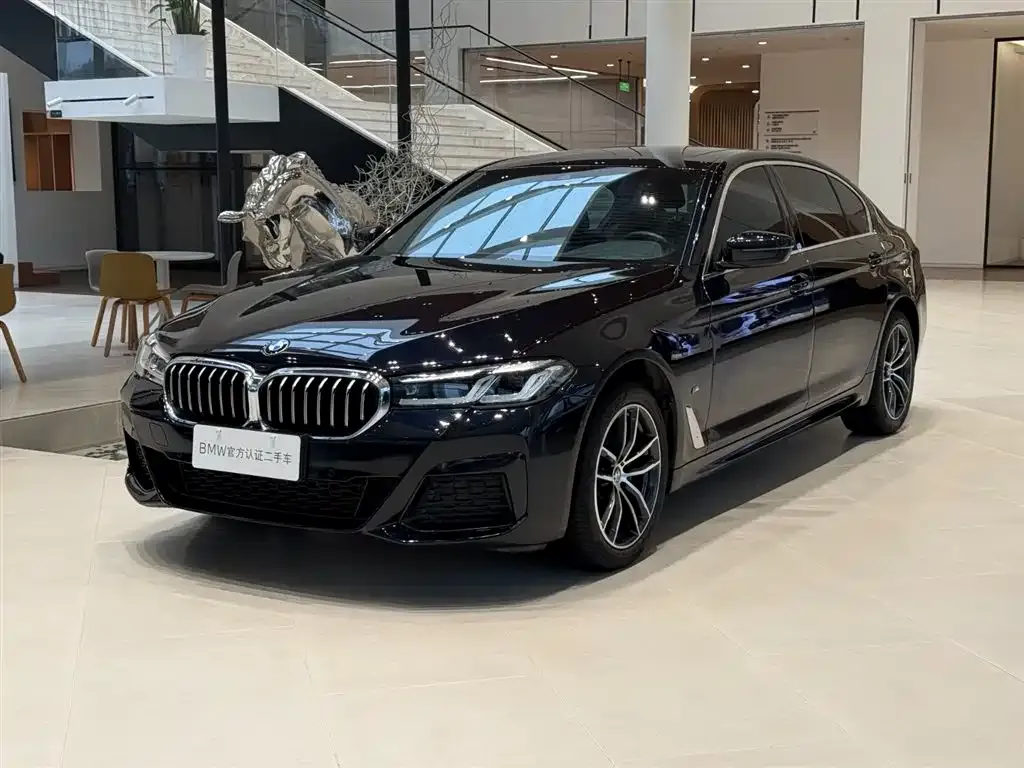 BMW 5 Series 2021 из CN, фото 1