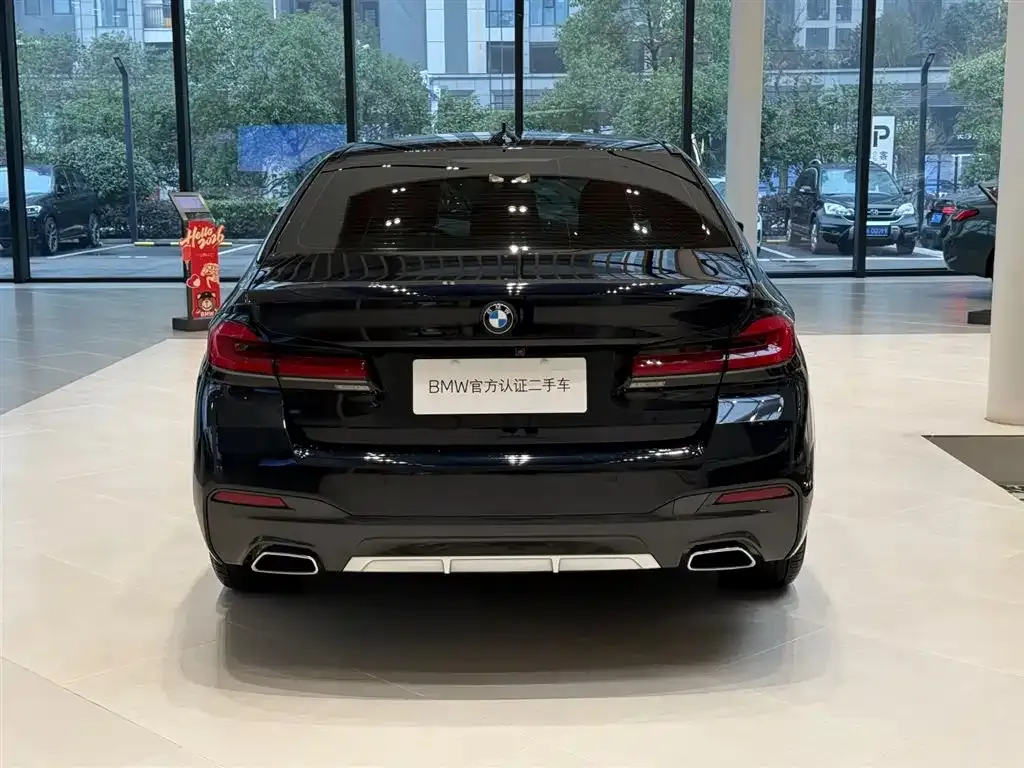 BMW 5 Series 2021 из CN, фото 3