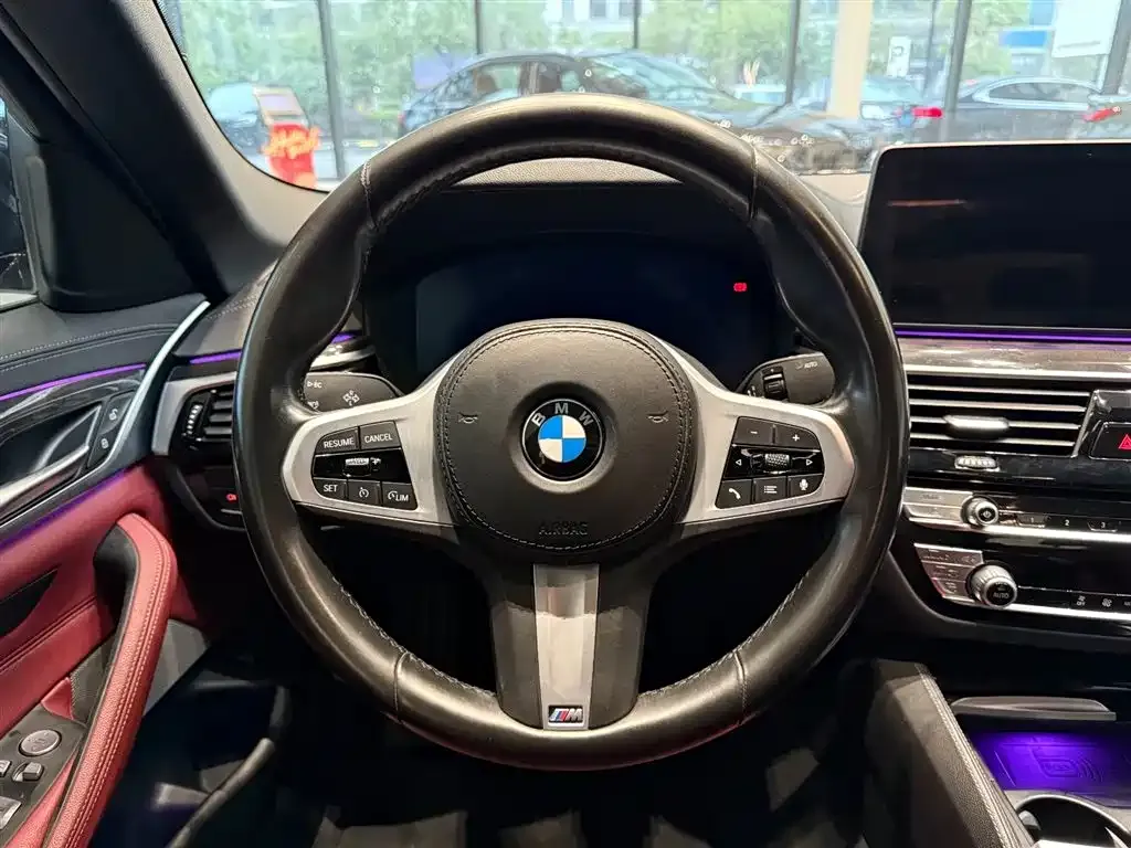 BMW 5 Series 2021 из CN, фото 10