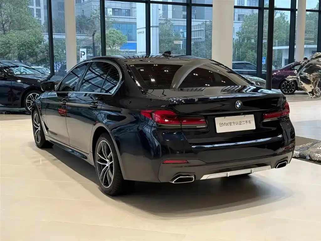 BMW 5 Series 2021 из CN, фото 7